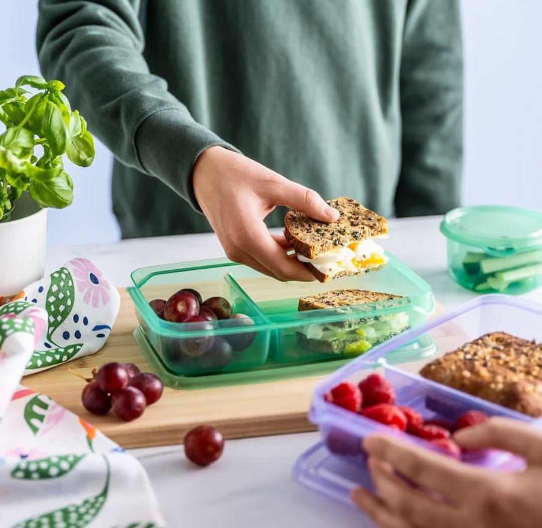 ظروف نگهدارنده غذا