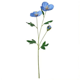 شاخه گل پاپی ایکیا