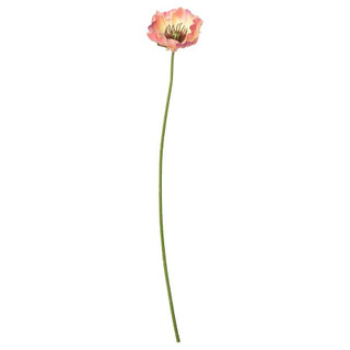 شاخه گل پوپی ایکیا