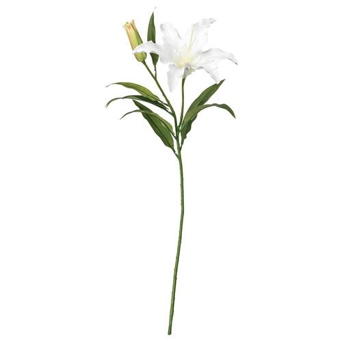 شاخه گل آماریلیس ایکیا