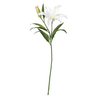 شاخه گل آماریلیس ایکیا