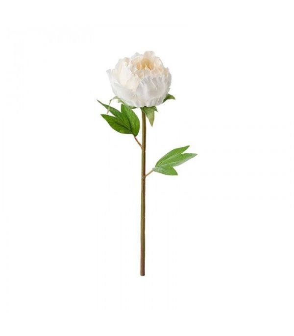 شاخه گل پیونی(صدتومنی)