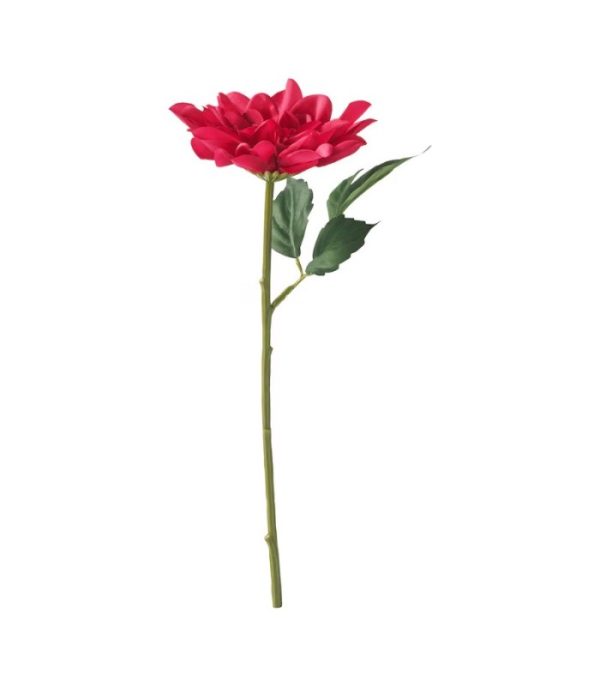 شاخه گل کوکب ایکیا