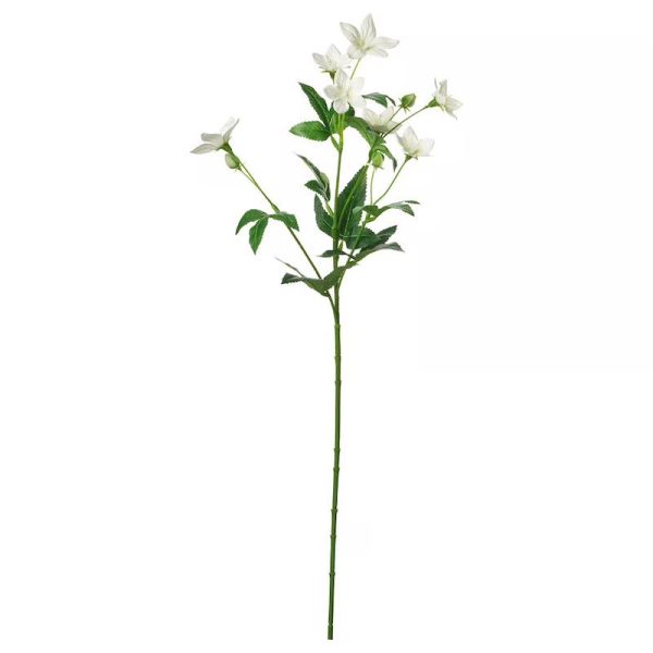 شاخه گل جدید لیسیانتوس